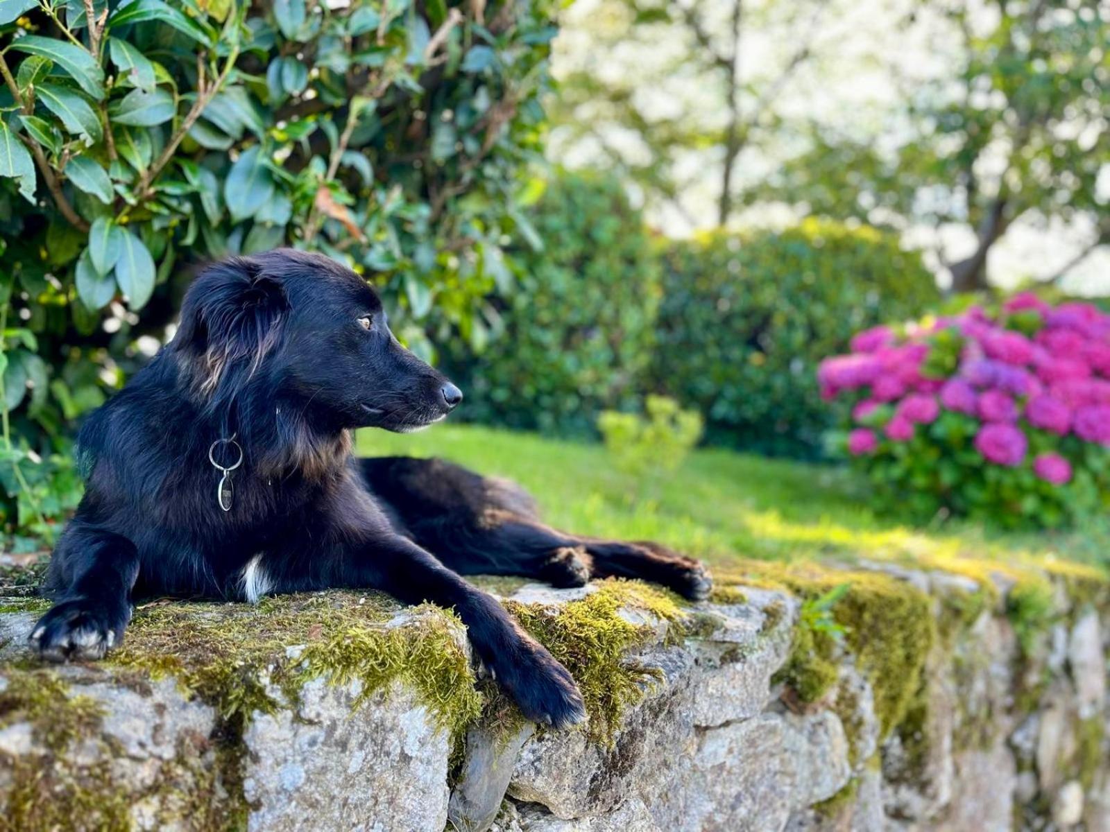 BaskoParadis Louhossoa Bagian luar foto